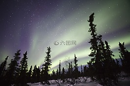极光,北极光,borealis