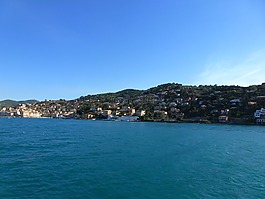 海,岛百合,夏季