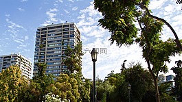天空,樹,體系結(jié)構(gòu)