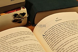 书库,书签,读取