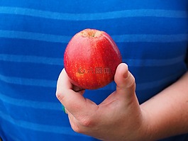 蘋果,水果,紅色