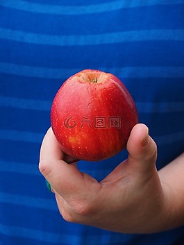 蘋果,紅色,水果