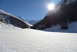 太陽,冬天,雪