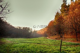 波蘭,景觀,秋天