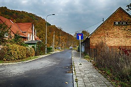 波蘭,村,建筑物