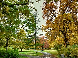 波蘭,公園秋,秋天