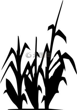 黑,側影,植物