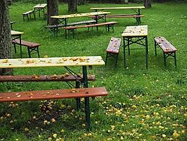bierbaenke,果园,花园
