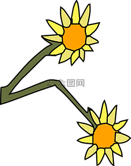 向日葵,鮮花,兩
