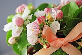 鮮花,蘋果開花,芽