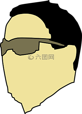 太陽鏡,男子,眼鏡