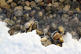 凍的湖,雪,冰
