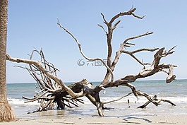 海滩,艾迪斯多,南