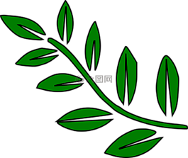 蕨類植物,葉子,綠色