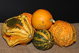 南瓜,萬(wàn)圣節(jié),秋季