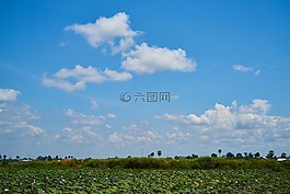 景觀,農(nóng)村,村