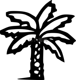 棕櫚樹,香蕉樹,棕櫚