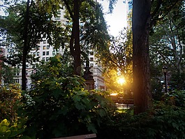 紐約市,公園,日落