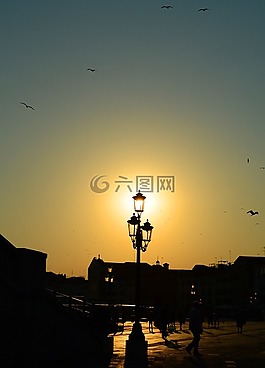 燈籠,鳥類,abendstimmung