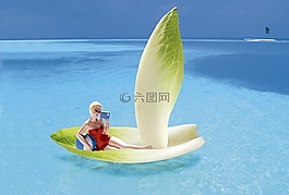 蔬菜,菊苣根,船