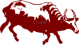 水牛,牛,農(nóng)場