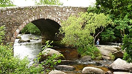 橋,河,男孩