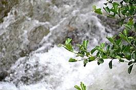 河,水,自然
