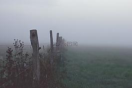 霧,黎明,景觀