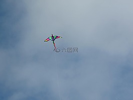 風(fēng)箏,天空,鳥