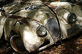 捷豹,oldtimer,汽車