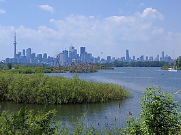 托尼 湯普森公園,多倫多,加拿大