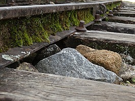 火車(chē),鐵路,站