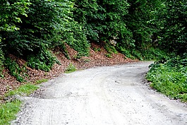 國(guó)家,路,森林