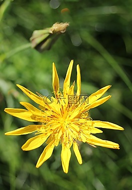 性質(zhì),夏季,廠
