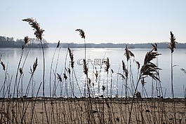 水域,性質(zhì),天空