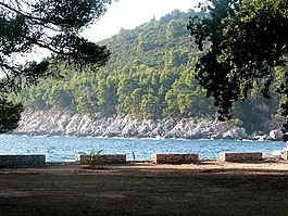 科夫,岛,海