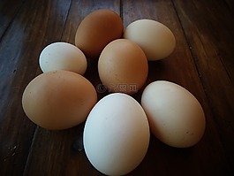 雞蛋,食品,午餐