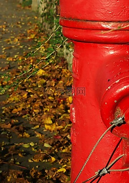 消火栓,紅色,路面
