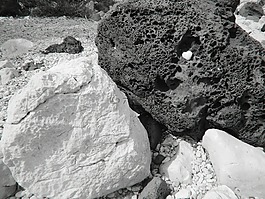 冥想,陰陽(yáng),心臟