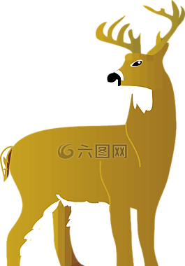 雄鹿,鹿,動物