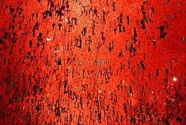 双年展,威尼斯,关键