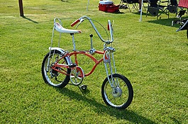 超級(jí)自行車(chē),汽車(chē)事件,黃石