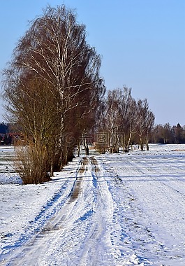 雪,冬天,弗羅斯特