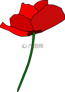 罌粟,玫瑰,紅色