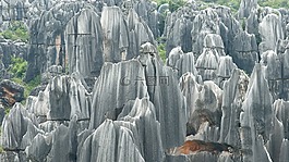 中國,昆明,石林