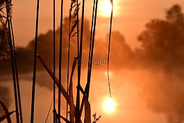 日出,morgenrot,天空