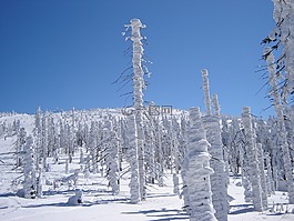冬季,山,在冬天的塔特拉山