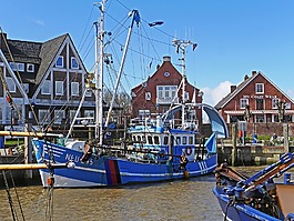虾,neuharlingersiel,北海海岸