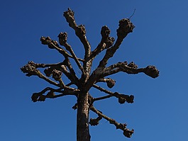 飛機(jī),beschnitten,切
