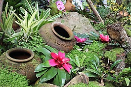清邁,皇室行宮,后花園